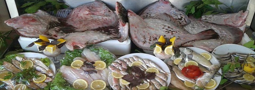 kerpe balık kerpe balık restoran